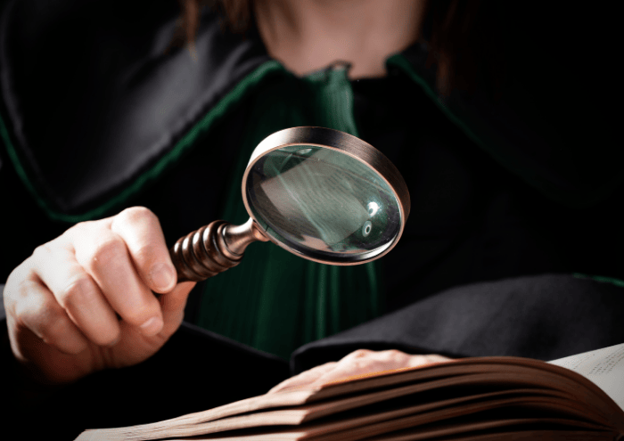 fases de un procedimiento penal